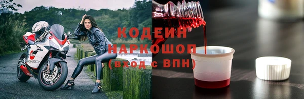 гашик Осинники