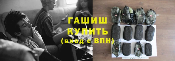 гашик Осинники