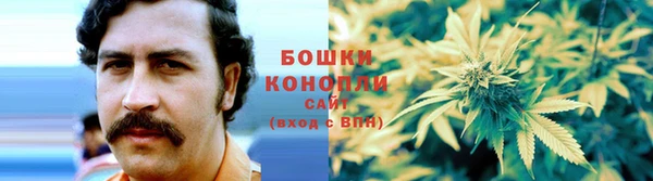 гашик Осинники