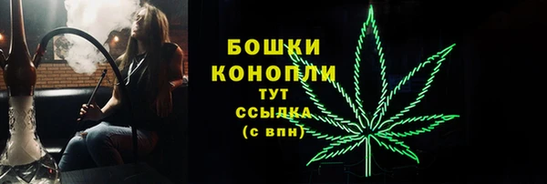 индика Остров