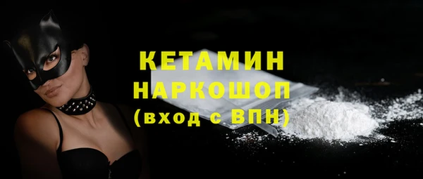 гашик Осинники