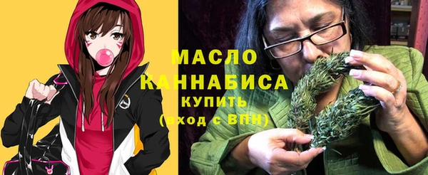 гашик Осинники