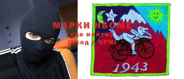 гашик Осинники