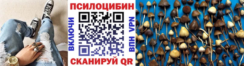 где купить наркоту гидра ссылка Псилоцибиновые грибы MAGIC MUSHROOMS Батайск