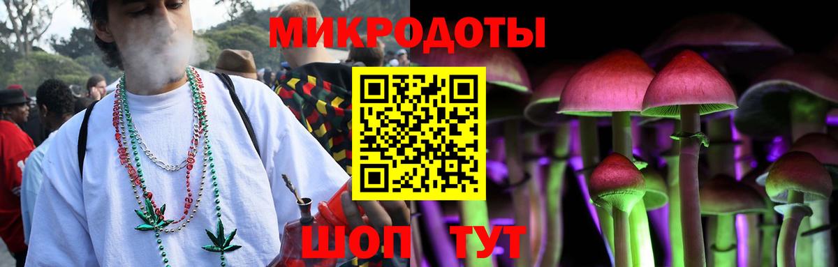 Галлюциногенные грибы Psilocybe Батайск